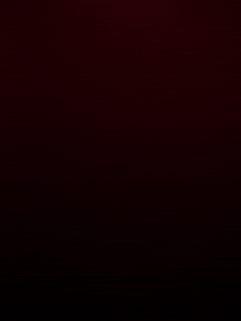 Lensagic Logo motion graphics